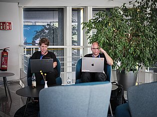Two professionals working on laptops in a modern office with plants and large windows