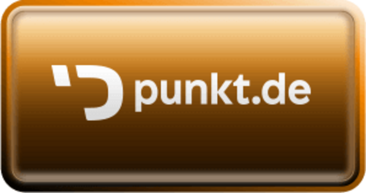 Logo from the company punkt.de
